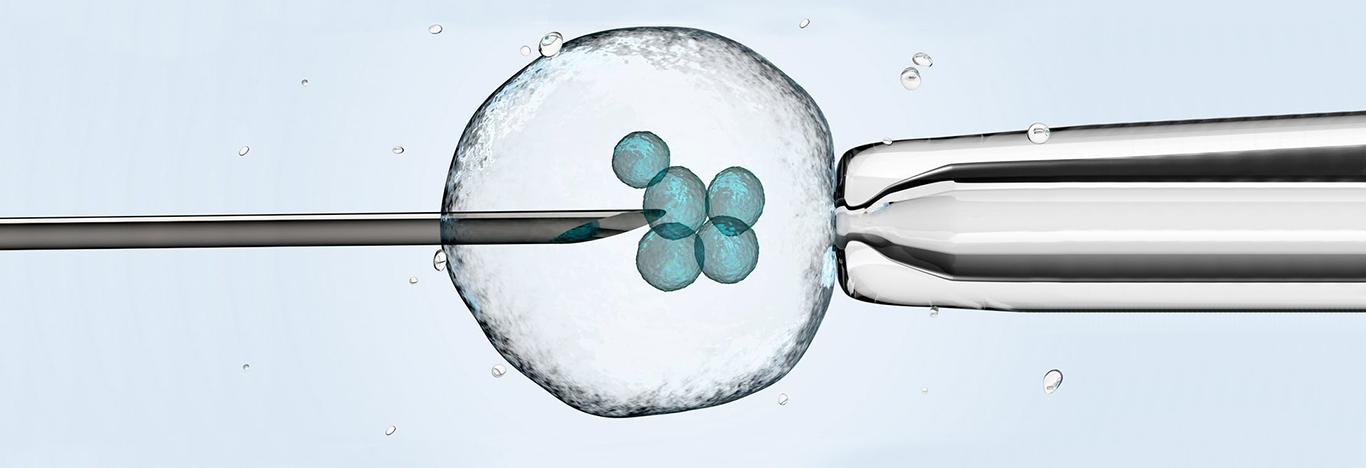 美国试管婴儿技术遭遇伦理寒冬：当胚胎被法律认定为“儿童”时